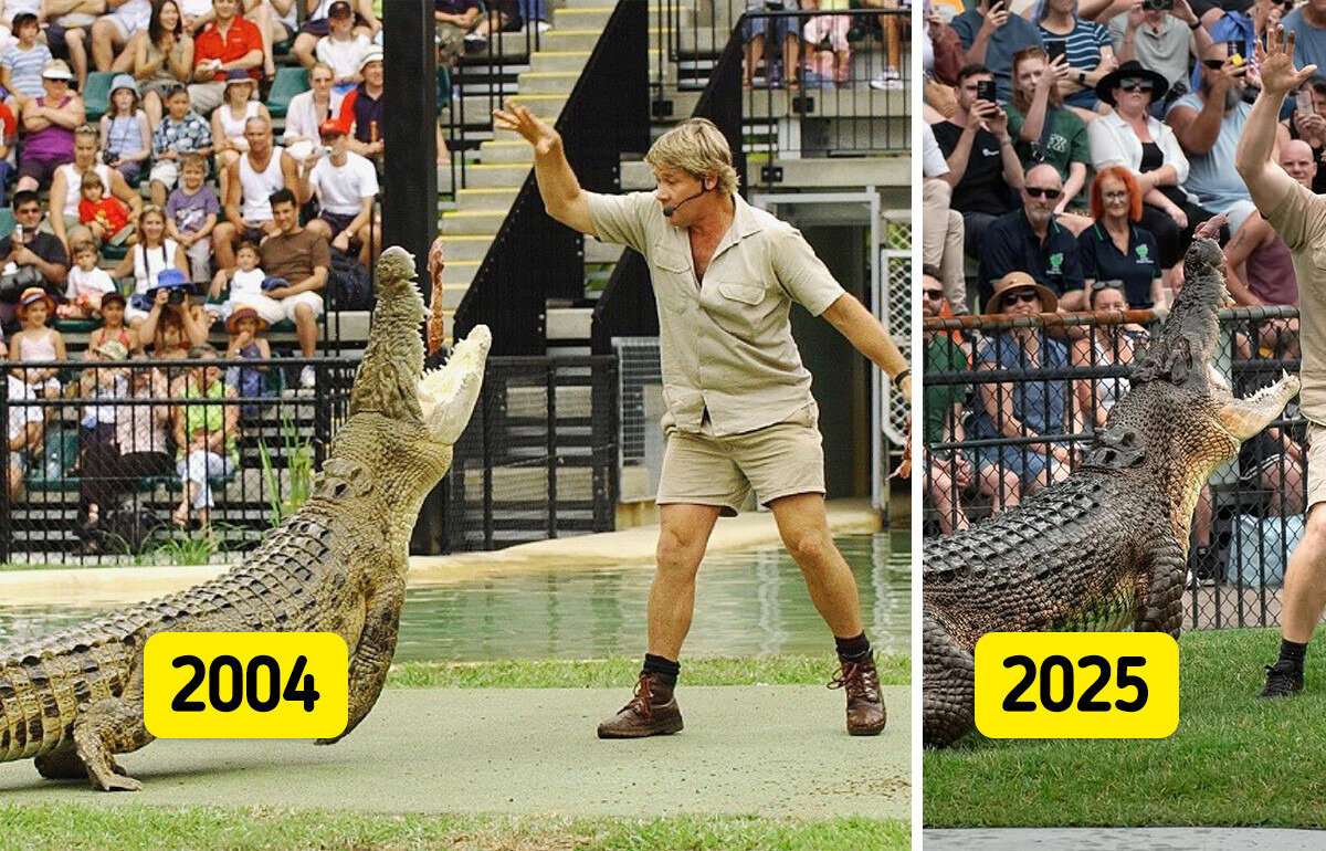 „Jak twój tata” — Robert Irwin karmi te same krokodyle, co jego ojciec 20 lat temu „Jak twój tata” — Robert Irwin karmi te same krokodyle, co jego ojciec 20 lat temu