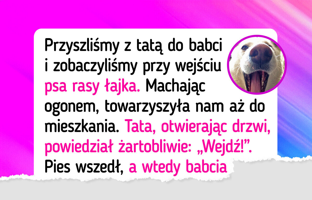 22 zwierzaki, którym po latach udało się odnaleźć swoich właścicieli 22 zwierzaki, którym po latach udało się odnaleźć swoich właścicieli