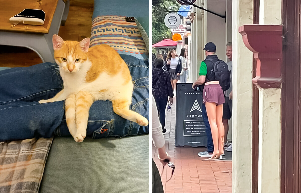 15 zaskakujących zdjęć, które pokazują, że perspektywa to klucz 15 zaskakujących zdjęć, które pokazują, że perspektywa to klucz