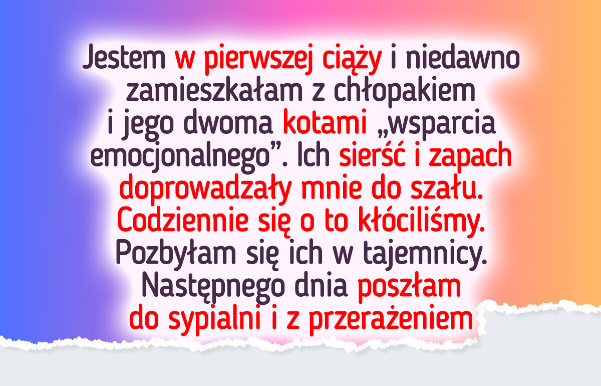 Potajemnie pozbyłam się kotów mojego chłopaka — nasze dziecko jest najważniejsze Potajemnie pozbyłam się kotów mojego chłopaka — nasze dziecko jest najważniejsze