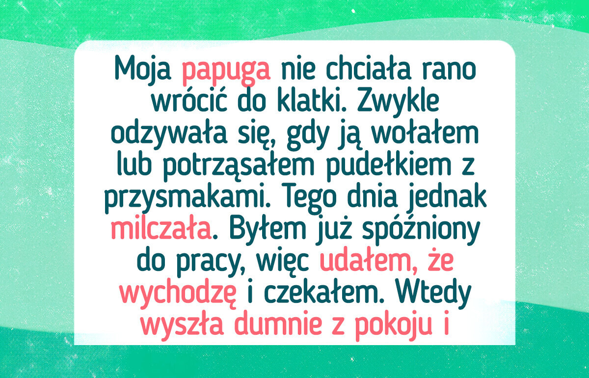21 dowodów na to, że nasze zwierzaki są małymi geniuszami 21 dowodów na to, że nasze zwierzaki są małymi geniuszami