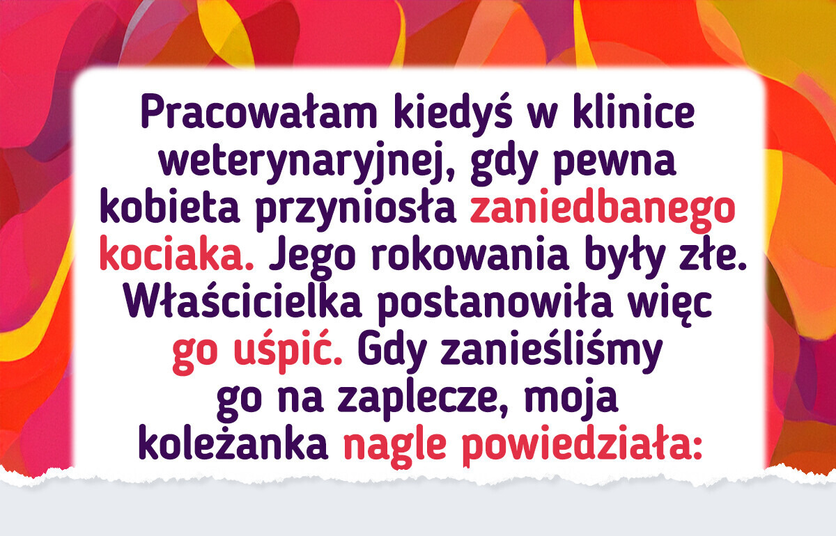 Chory kociak został porzucony w klinice weterynaryjnej, ale los miał wobec niego inne plany