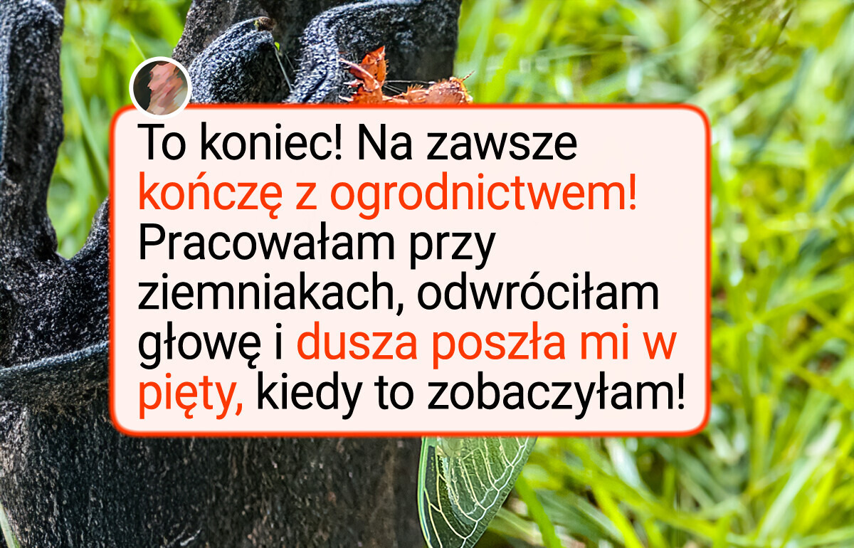 16 powodów, dla których ogrodnicy łapią za aparat