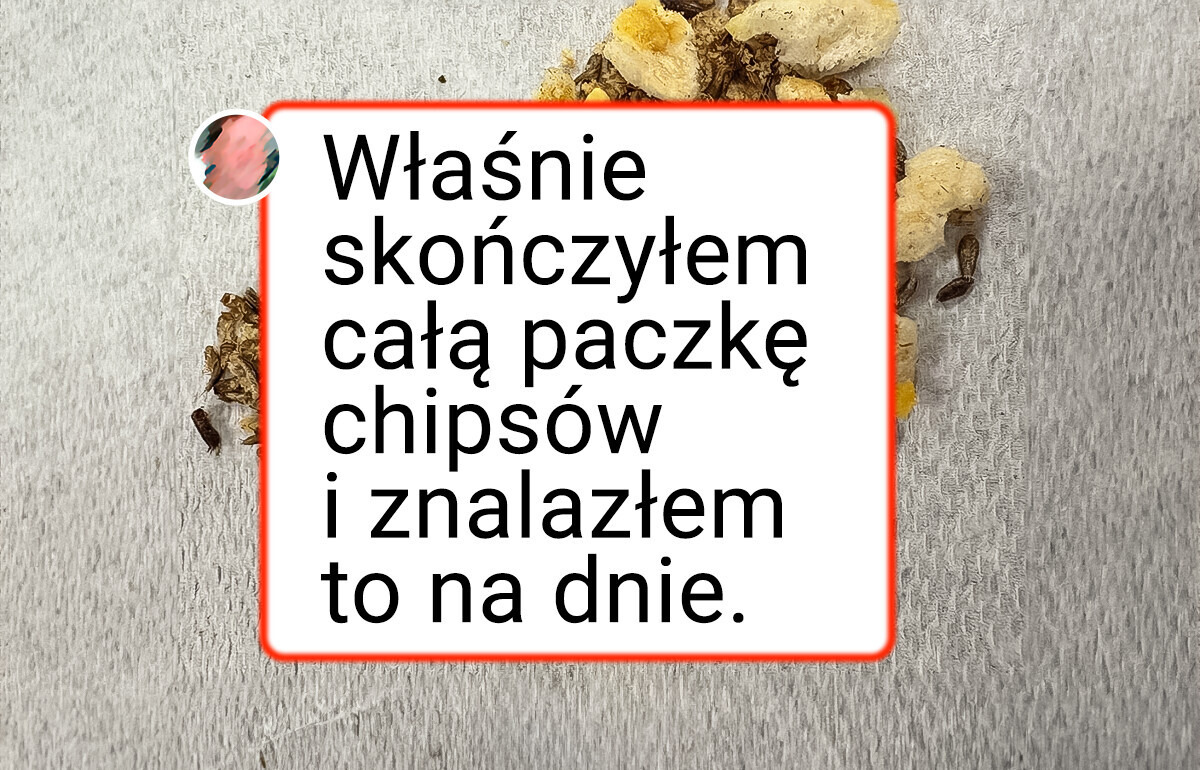 16 osób, które chciały po prostu zjeść coś smacznego, ale coś poszło nie tak