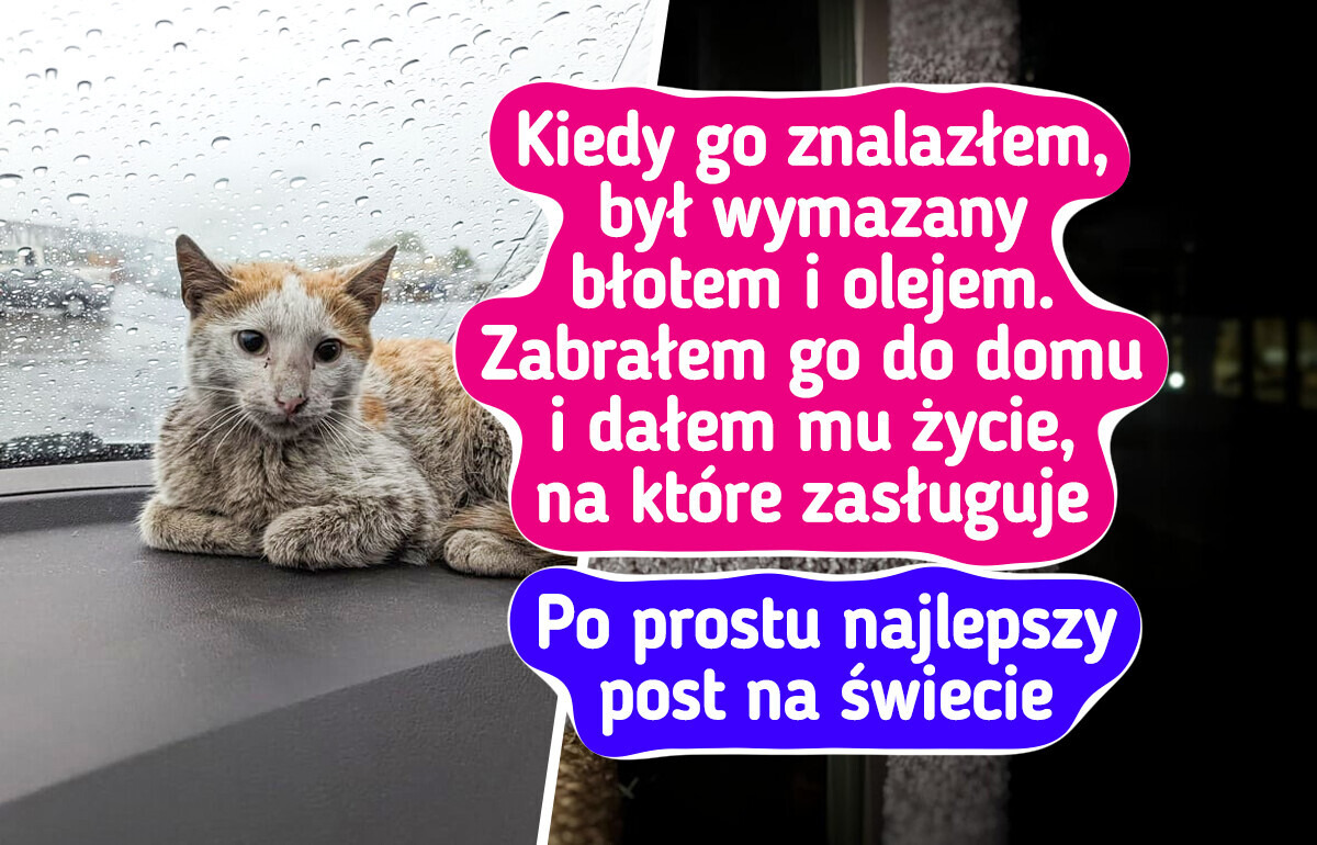 16 zwierzaków, które rozkwitły dzięki miłości swoich opiekunów