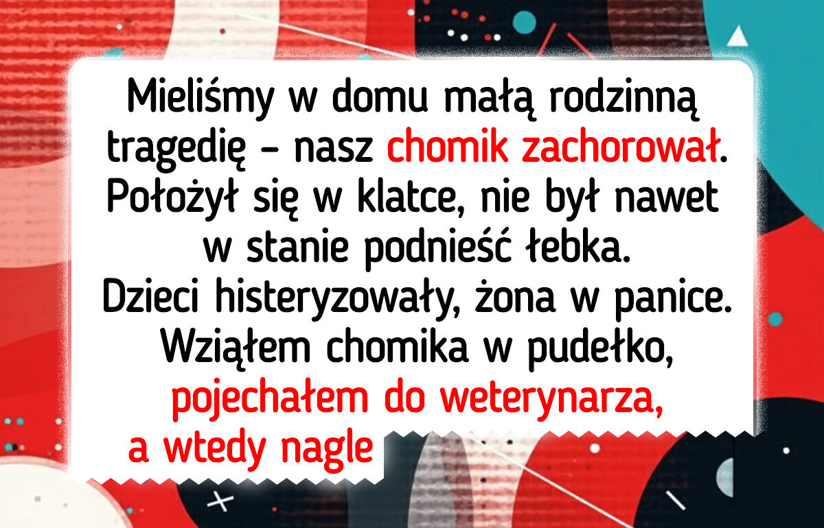 17 historii o zwierzętach, które bawią i wzruszają