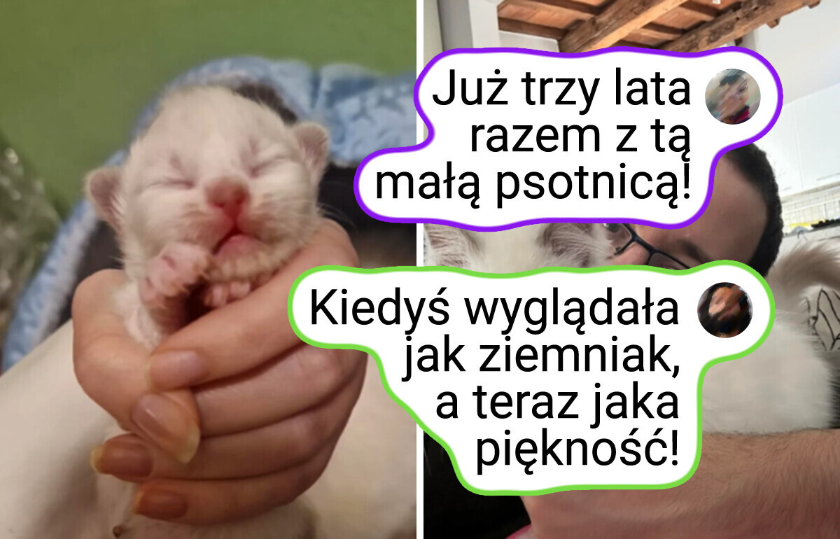 18 wzruszających zdjęć właścicieli i ich zwierzaków „kiedyś i teraz”