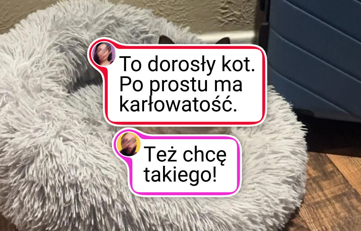 20+ zwierząt, które przypadkiem zamieniły zwykłą fotkę w arcydzieło