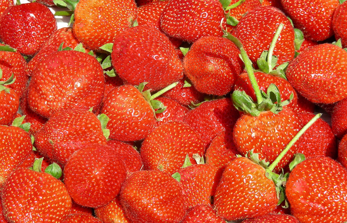 Truskawkowa pułapka: jak rozpoznać polskie owoce i nie dać się nabrać oszustom?