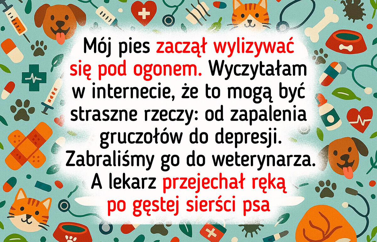 20 osób, dla których remont okazał się próbą cierpliwości 20 osób, dla których remont okazał się próbą cierpliwości