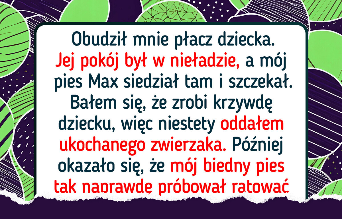 13 opowieści z życia wziętych, które pokazują, jak bardzo kochamy nasze zwierzaki 13 opowieści z życia wziętych, które pokazują, jak bardzo kochamy nasze zwierzaki