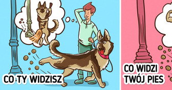 12 pozornie dziwnych rzeczy, które robi twój pies — wszystkie mają dobre wytłumaczenie!