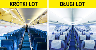 Dlaczego siedzenia w samolotach prawie zawsze są niebieskie