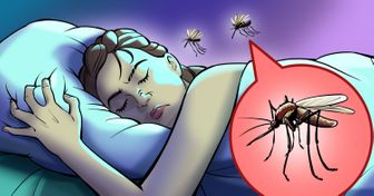 Dlaczego komary lubią latać nam nad głową oraz kilka porad, jak sobie z nimi radzić