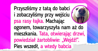 22 zwierzaki, którym po latach udało się odnaleźć swoich właścicieli