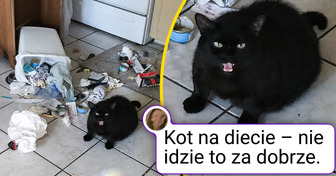 24 urocze zwierzaki, które natychmiast poprawią ci humor i rozgrzeją serce