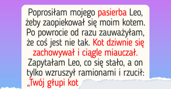 Mój pasierb miał tylko przypilnować kota, a skończyło się wielką awanturą