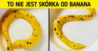 20 rzeczy, które do perfekcji opanowały sztukę kamuflażu