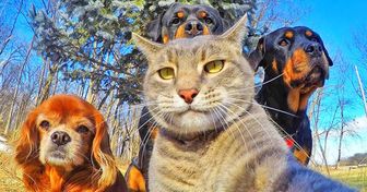 20 zwierzaków, które pozują do selfie lepiej od ciebie