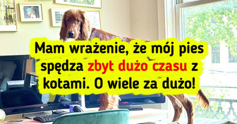 15 zdjęć zwierzaków, które rozbawią cię do łez