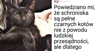 17 słodkich zdjęć, które udowadniają, że czarne koty na pewno nie przynoszą pecha