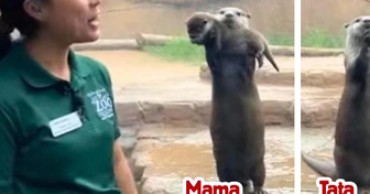 Mama wydra z dumą pokazała gościom zoo swoje młode, a tata zaprezentował to, co jest drogie dla niego