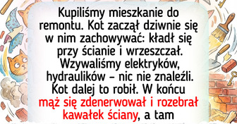 18 pupili, których inteligencja powinna zostać nagrodzona podwójną porcją smaczków