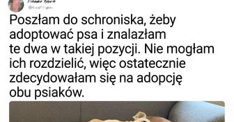 18 zwierząt, które w końcu znalazły dom, a ich właściciele są w siódmym niebie