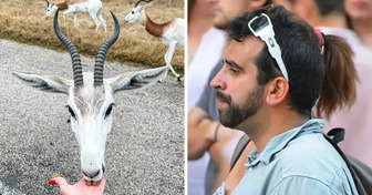 16 zdjęć, które mogą sprawić, że zarezerwujesz wizytę u okulisty