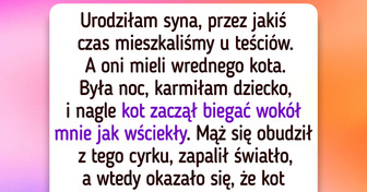 24 osoby, które nie od razu nawiązały nić porozumienia ze zwierzakiem