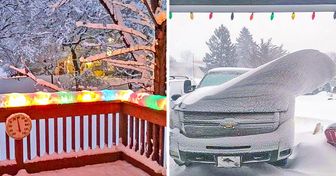 22 zdjęcia, które ukazują hipnotyzującą moc śniegu
