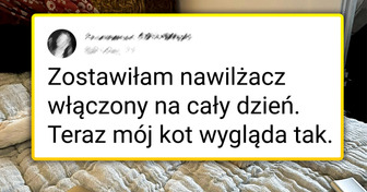 18 tweetów, które zrozumie każdy, kto ma w domu zwierzę