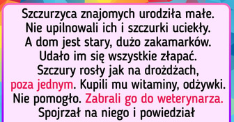 15 życiowych historii, które zrozumieją tylko ci, którzy mają zwierzęta