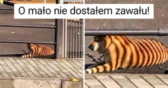 17 sytuacji, w których życie wprawiło ludzi w zakłopotanie, gdy najmniej się tego spodziewali