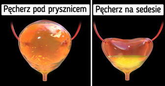 Dlaczego zdaniem naukowców lepiej nie sikać pod prysznicem