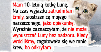 Opiekunka mojego kota była nieodpowiedzialna, więc odmówiłam zapłaty — moja rodzina się z tym nie zgadza