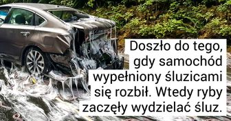 18 zdjęć, które wymagają natychmiastowego wyjaśnienia