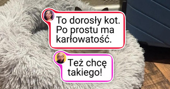 20+ zwierząt, które przypadkiem zamieniły zwykłą fotkę w arcydzieło