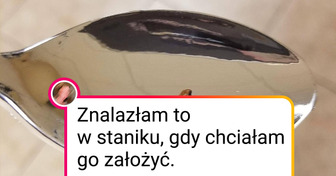 18 osób, które natknęły się na zwierzęta w najmniej oczekiwanym momencie