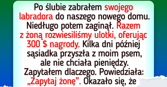 12 historii, które udowadniają, że zwierzęta mają niezwykły wpływ na nasze życie