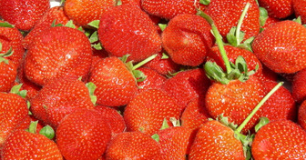 Truskawkowa pułapka: jak rozpoznać polskie owoce i nie dać się nabrać oszustom?