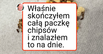 16 osób, które chciały po prostu zjeść coś smacznego, ale coś poszło nie tak