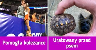 17 momentów, gdy anioł stróż pojawił się znikąd, by pomóc