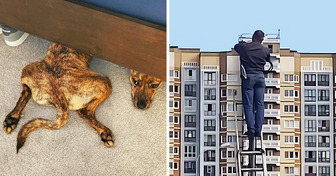 15 zwodniczych zdjęć, które wrzucą twoją wyobraźnię na najwyższy bieg