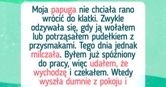21 dowodów na to, że nasze zwierzaki są małymi geniuszami
