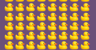 Znajdź przedmiot, który różni się od pozostałych