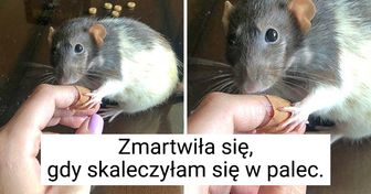 22 zdjęcia pokazujące bliską więź zwierząt i ludzi