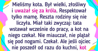 16 zwierzaków, które zmieniają codzienne życie w przygodę