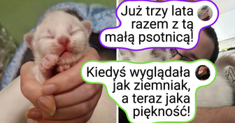 18 wzruszających zdjęć właścicieli i ich zwierzaków „kiedyś i teraz”