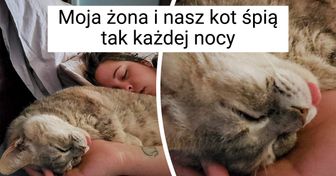 17 kotów i psów, które znalazły własny sposób na wyrażanie miłości do człowieka